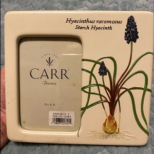 Carr picture frame Starch Hyacinth
